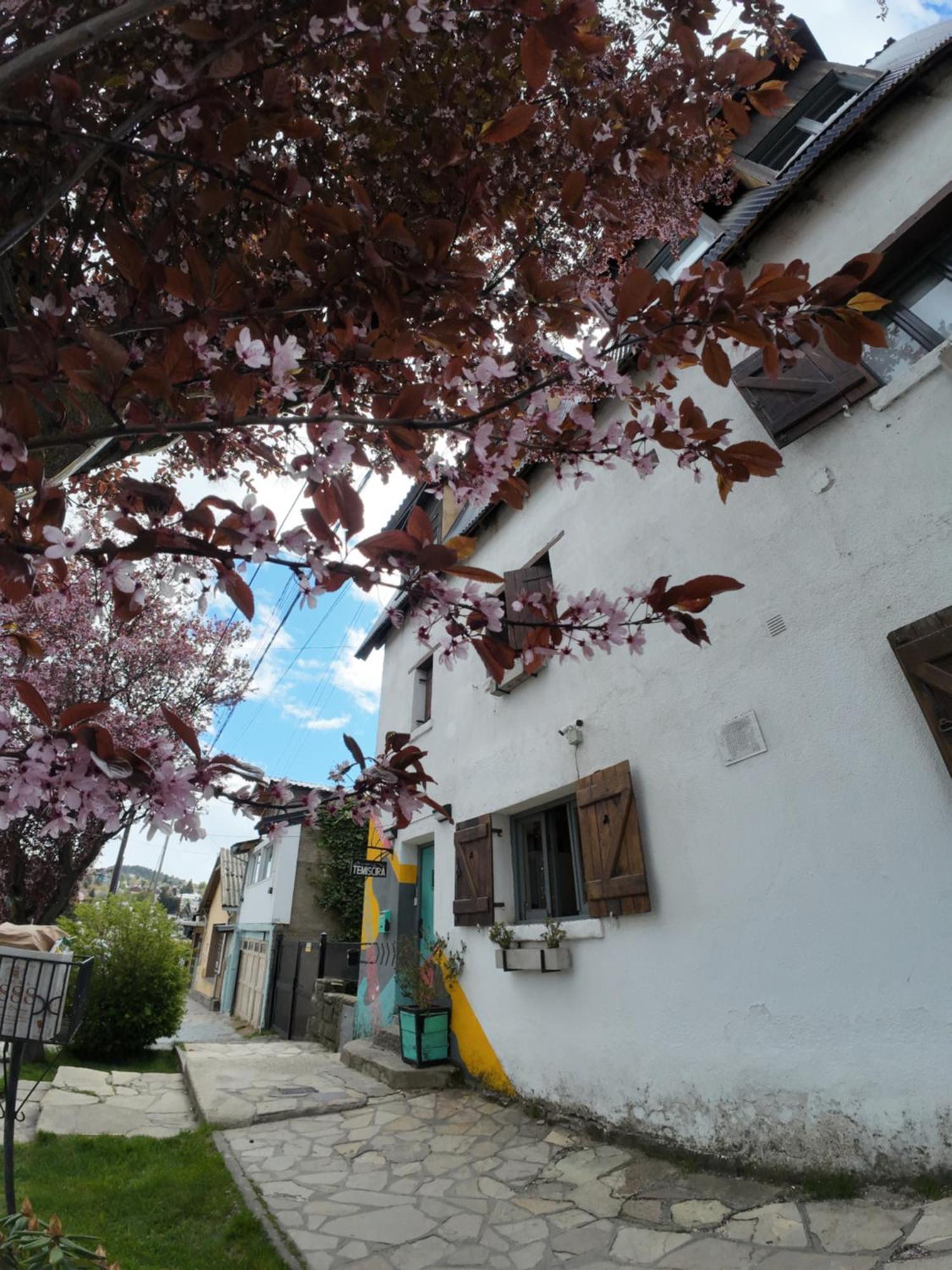 Casa de hóspedes Temiscira
